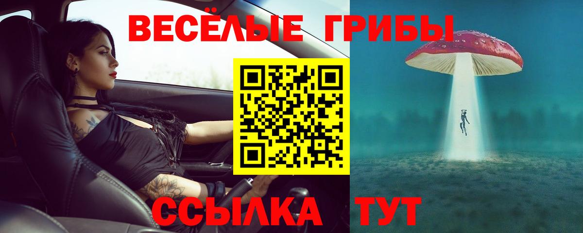 Галлюциногенные грибы Psilocybine cubensis  Вход с VPN  Псилоцибиновые грибы мухоморы  Сертолово 
