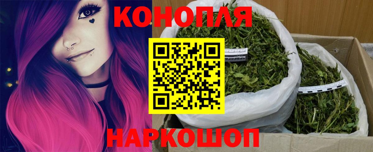 Конопля индика Сертолово